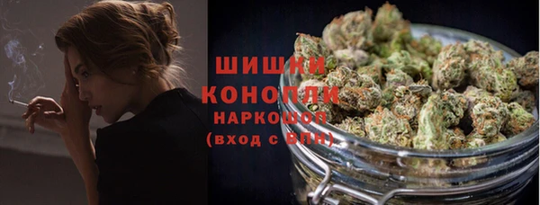 молекула духа Горно-Алтайск