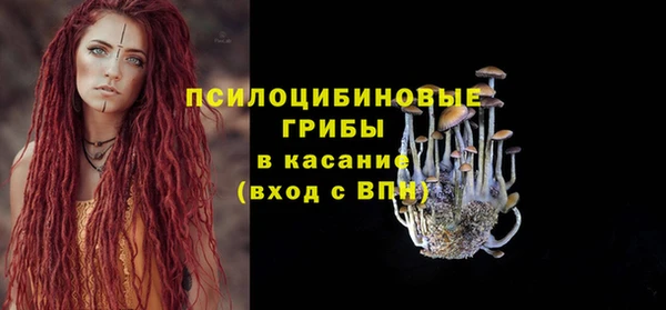 амф Горнозаводск