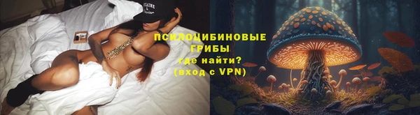 амф Горнозаводск