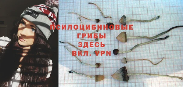 прущая мука Горняк