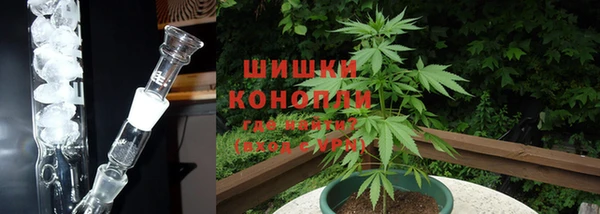 молекула духа Горно-Алтайск